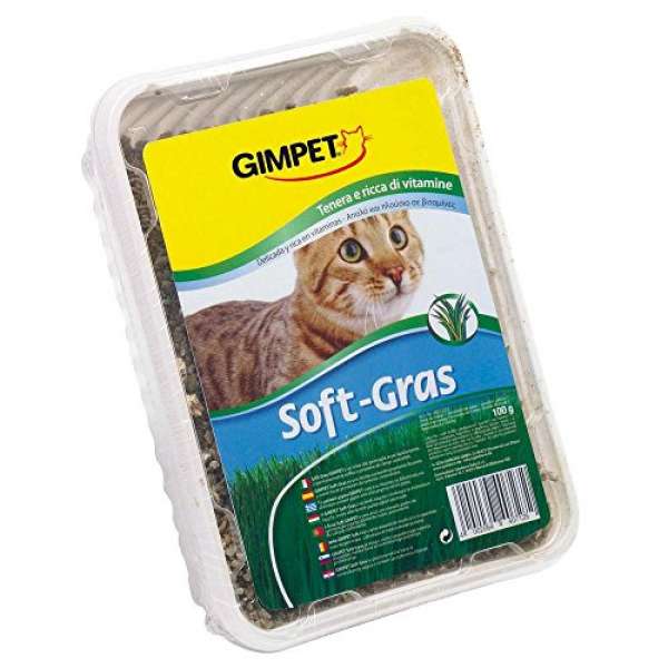 GimCat Katzengras 100g Softgras