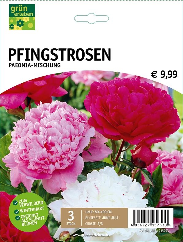 GRÜN ERLEBEN Pfingstrosen PaeoniaMischung 3 Stück Sommerblüher