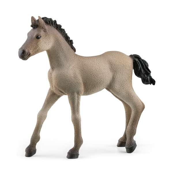 Schleich Criollo Definitivo Fohlen