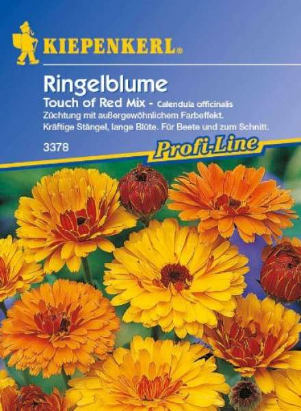 Kiepenkerl Ringelblume Touch of Red Mix