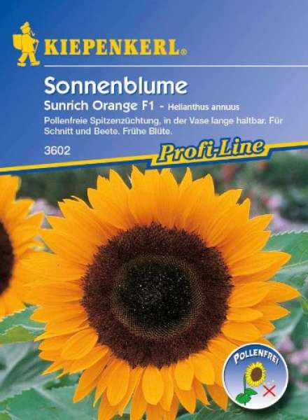 Kiepenkerl Sonnenblume Sunrich orange