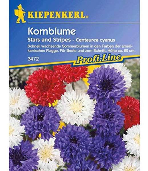 Kiepenkerl Kornblume Stars and Stripes