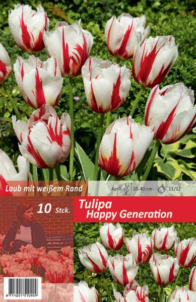Triumph Tulpen Tulipa Happy Generation