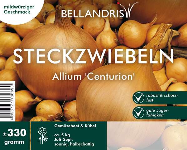 Steckzwiebeln Allium Centurion 330 g