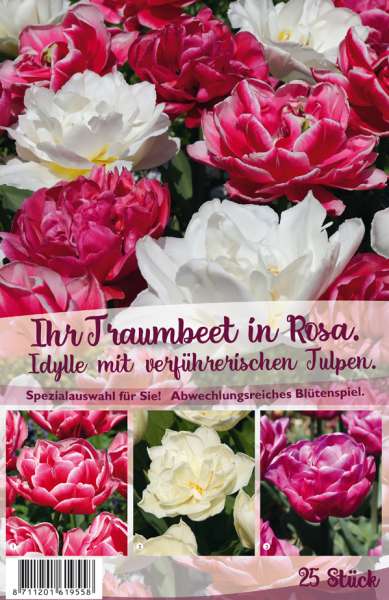 Tulpen-Traumbeet in Rosa 25 Stück