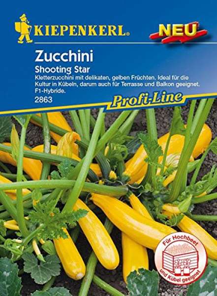 Kiepenkerl Zucchinisamen - Zucchini Shooting Star