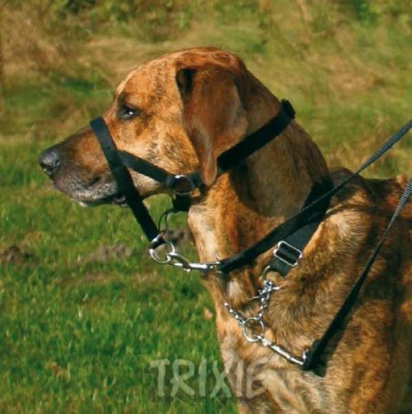 TRIXIE Top Trainer Ausbildungsgeschirr L 31 cm schwarz TRIXIE Top Trainer Ausbildungsgeschirr L 31 cm schwarz