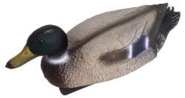 Oase Teichfigur Stockente Erpel