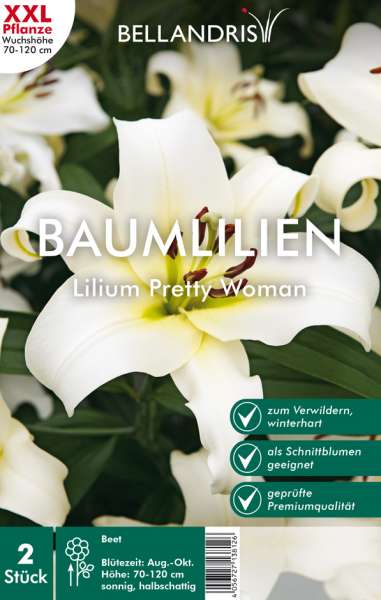 Baumlilien Lilium Pretty Woman 2 Stück