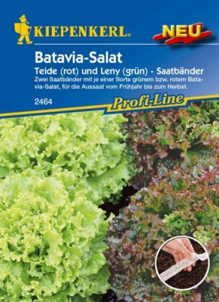 Kiepenkerl Batavia Salat Saatband rot + grün