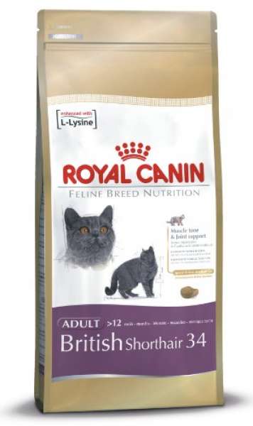 Royal Canin British Shorthair Adult