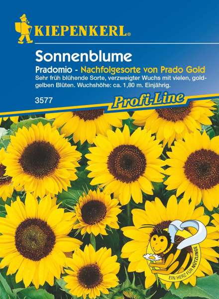 Kiepenkerl Sonnenblumensamen Pradomio