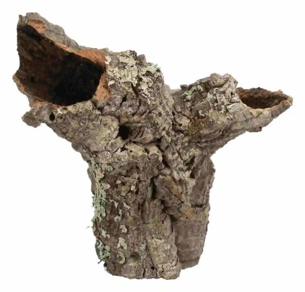 4011905764047_2.jpg