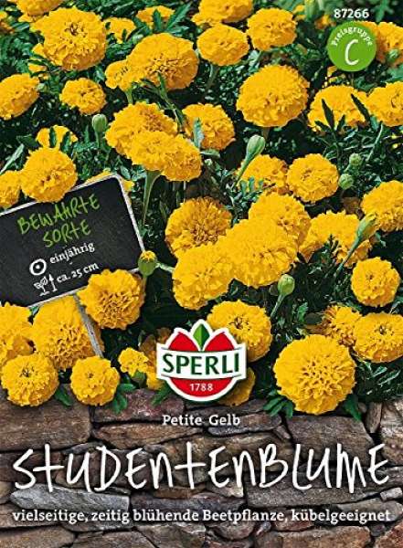 Studentenblume, Petite Gelb