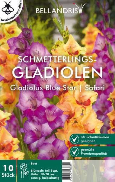 Schmetterlings-Gladiolen Gladiolus Blue Star/Safari 10 Stück