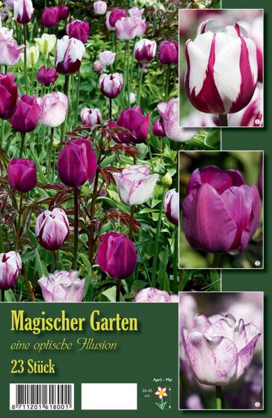 Tulpenmischung Magischer Garten