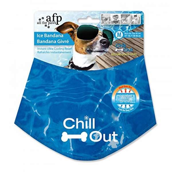 All for Paws Chill Out Ice Bandana