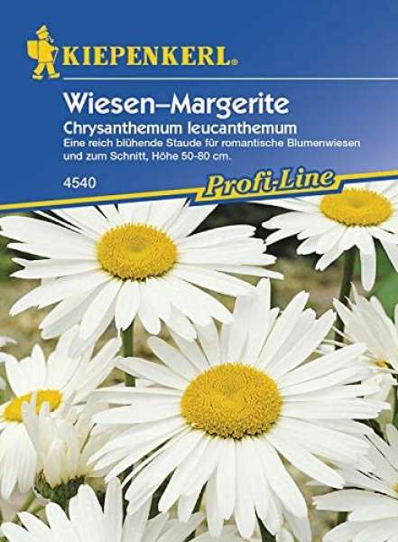 Kiepenkerl, Wiesen-Margeriten-Samen