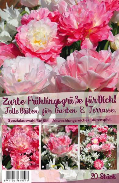 Tulpen und Narzissen Zarte Frühlingsgrüße 20 Stück