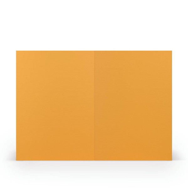 4014969292198_1.jpg