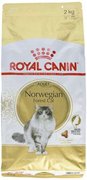 Royal Canin Norwegische Waldkatze