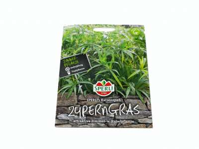 Zyperngras | Blumensamen | Samen | Aussaat | Garten | Online