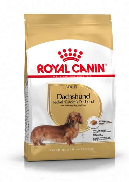 Royal Canin Dachshund 500g- Hundefutter