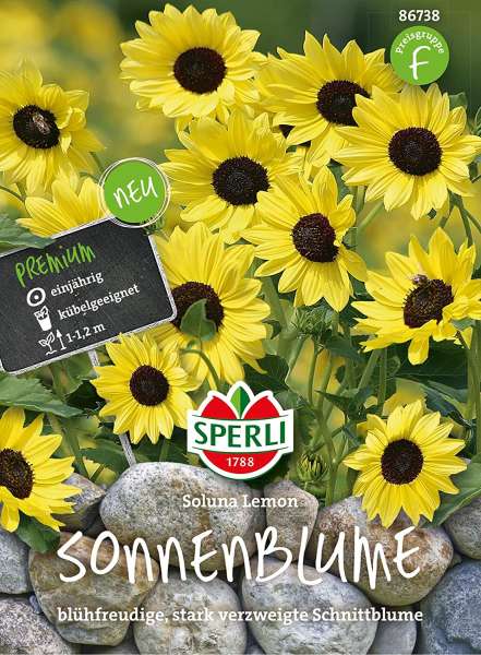 Sperli Sonnenblumensamen, Soluna Lemon