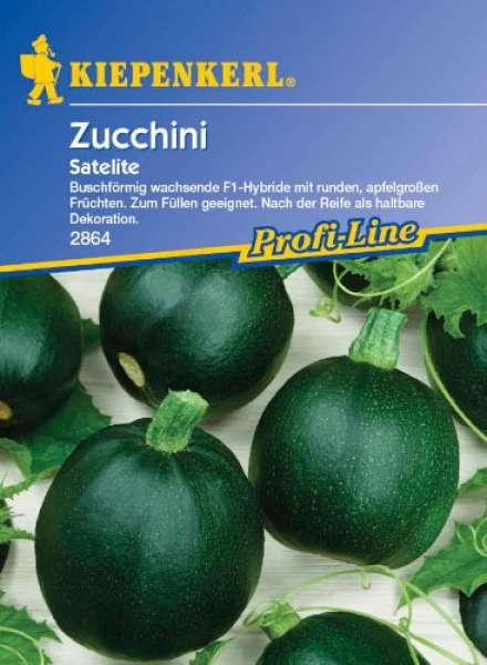 Zucchini Satelite