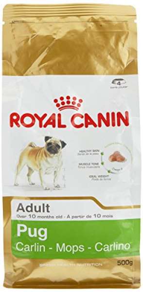 Royal Canin Pug Adult