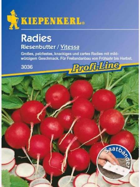 Kiepenkerl Radies Vitessa Saatband PG07