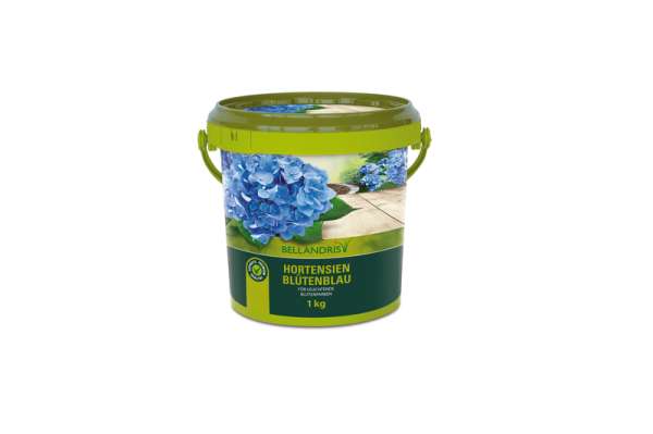 Berllandris Hortensien Blütenblau 1,0kg