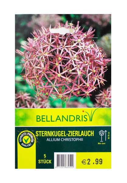 Bellandris Sternkugel - Zierlauch