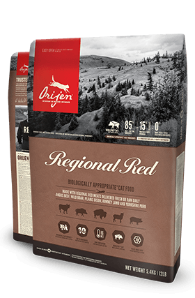 Orijen Katzenfutter Regional Red