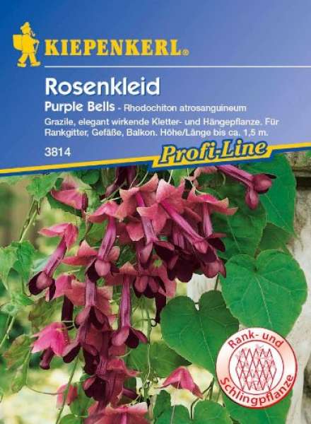 Kiepenkerl Rosenkleid Purple Bells