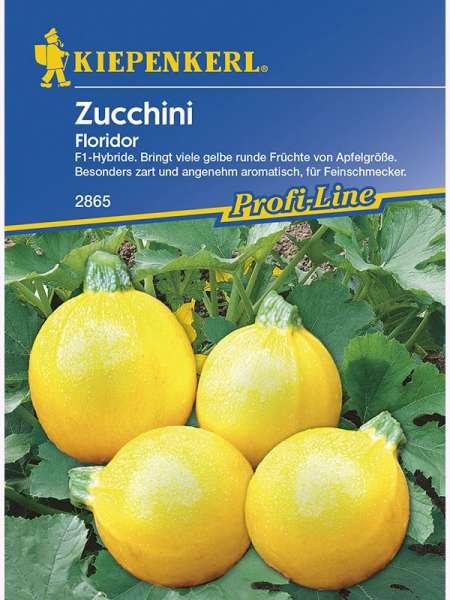 Kiepenkerl Zucchini Floridor