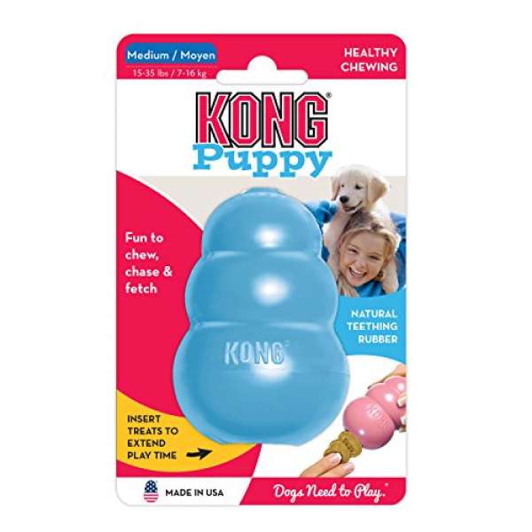 Kong Puppy (M) (farblich sortiert)