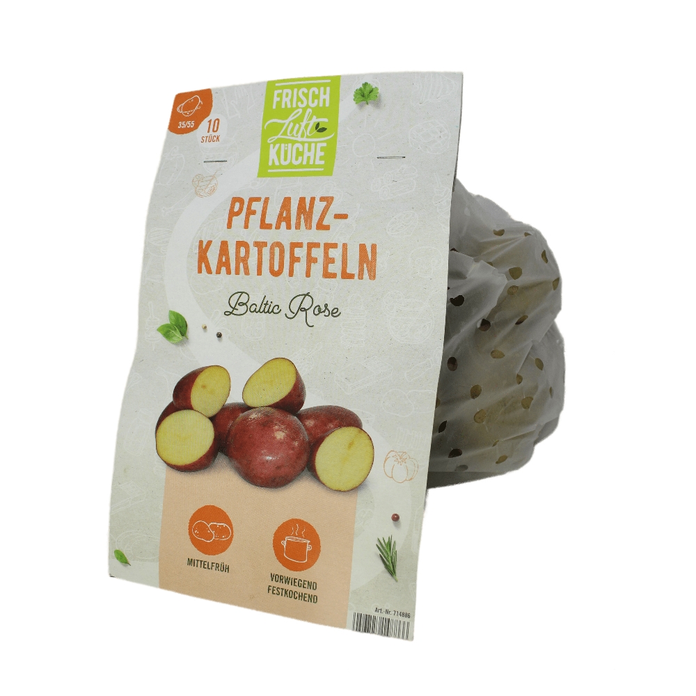 Kart. Baltic Rose 10St. Frischluftk. | Online-Gartencenter