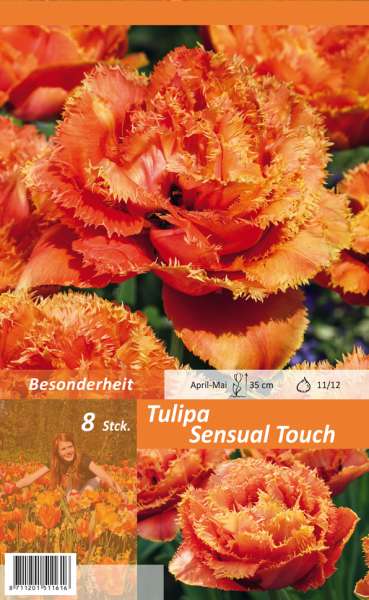 Tulipa Sensual Touch 8 Stück