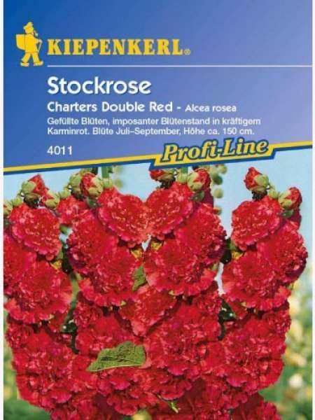 Kiepenkerl Stockrose, Chaters Double Red