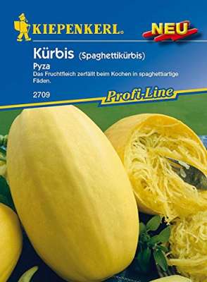 Kürbis Pyza | Gemüsesamen & Sprossen | Samen | Aussaat | Garten