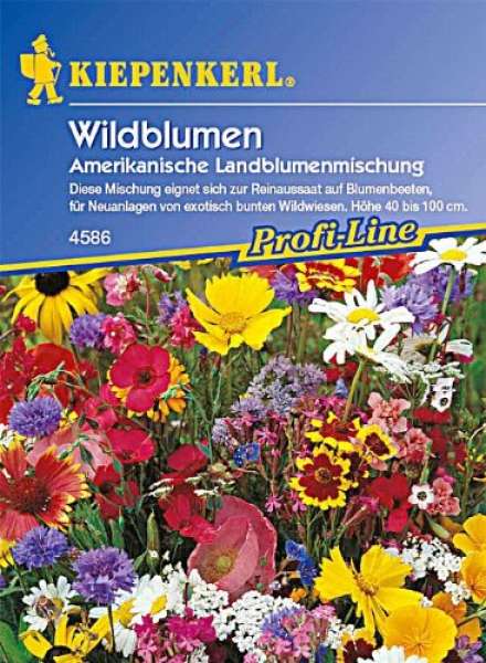 Kiepenkerl Wildblumen, amerikanische Landblumenmischung