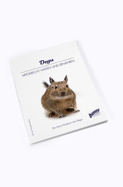 bunny Buch Degu