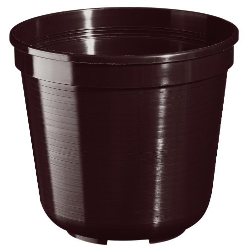 4000150862479_1.jpg