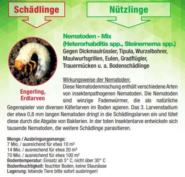 Dr. Stähler Nematoden - Mix (Heterorhabditis, Steinernema)