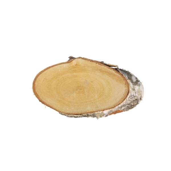 Birkenscheibe oval natur 21-23cm