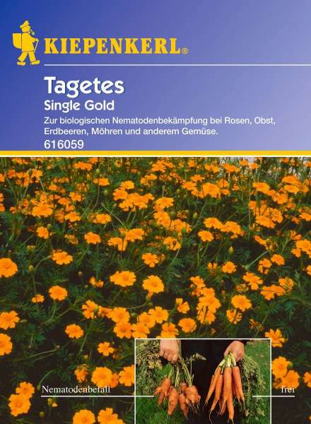 Tagetes Single Gold, 6 g