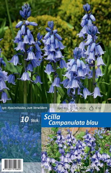 Scilla Campanulata blau 10 Stück