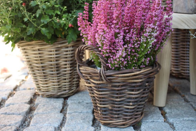 Pflanzkorb Rattan: Stylish & hochwertig