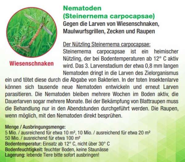 Dr. Stähler Nematoden (Steinernema carpocapsae)